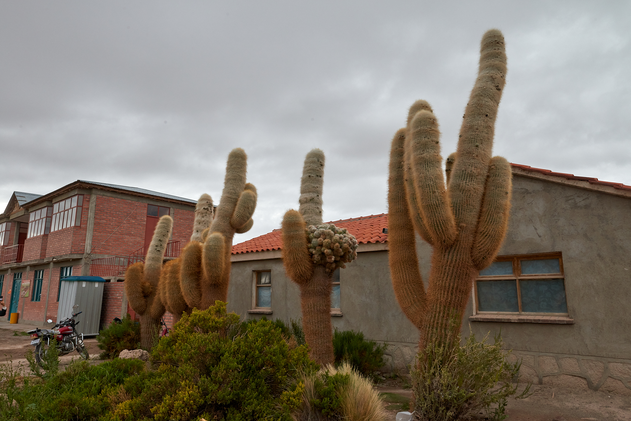 20200313 431 [볼리비아] 산 후앙